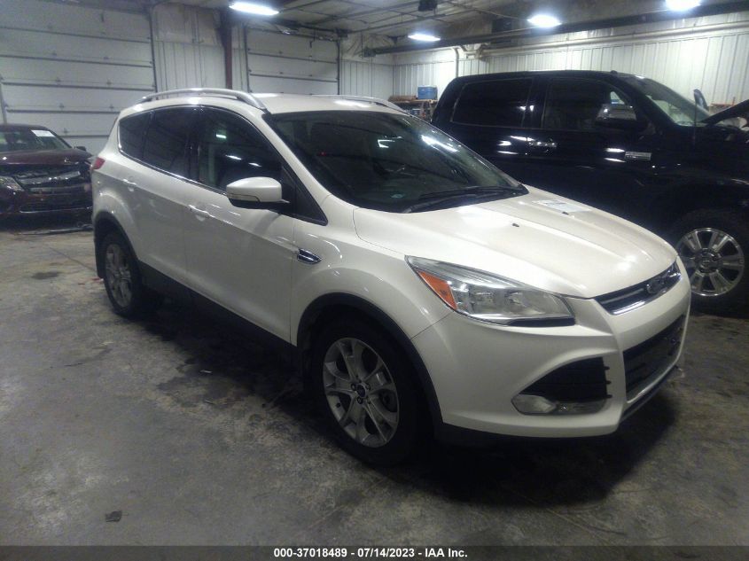 2014 FORD ESCAPE TITANIUM - 1FMCU9JX5EUB57567