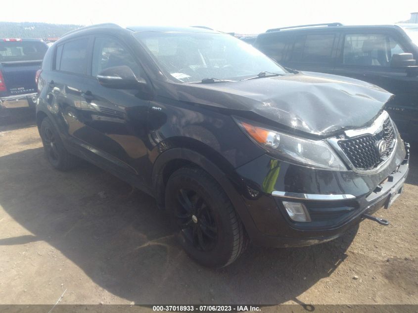 2014 KIA SPORTAGE LX - KNDPBCAC3E7551783