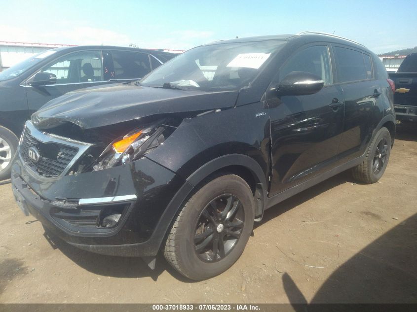 2014 KIA SPORTAGE LX - KNDPBCAC3E7551783