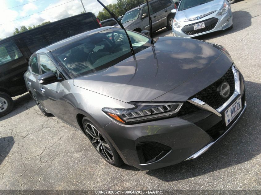 2023 NISSAN MAXIMA SV - 1N4AA6CV3PC507369