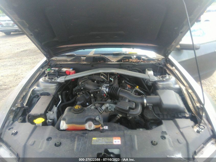 2013 FORD MUSTANG V6 - 1ZVBP8EM5D5230752