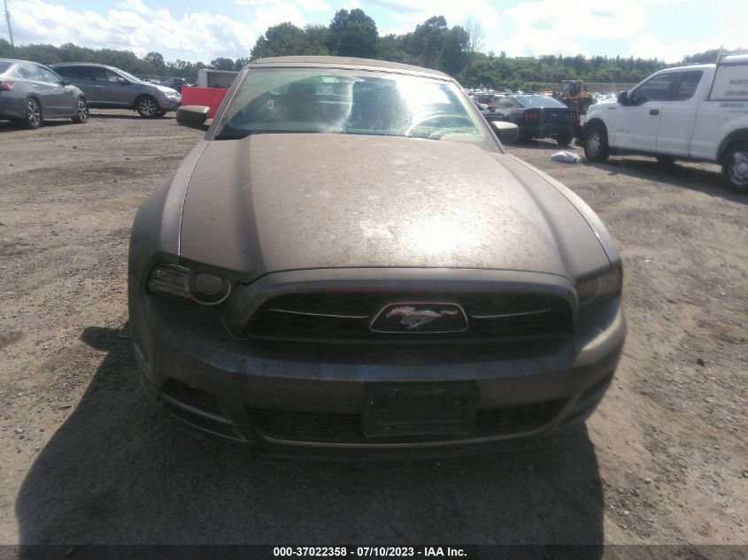 2013 FORD MUSTANG V6 - 1ZVBP8EM5D5230752