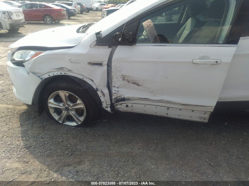 2013 FORD ESCAPE SE - 1FMCU0GXDDUD47667