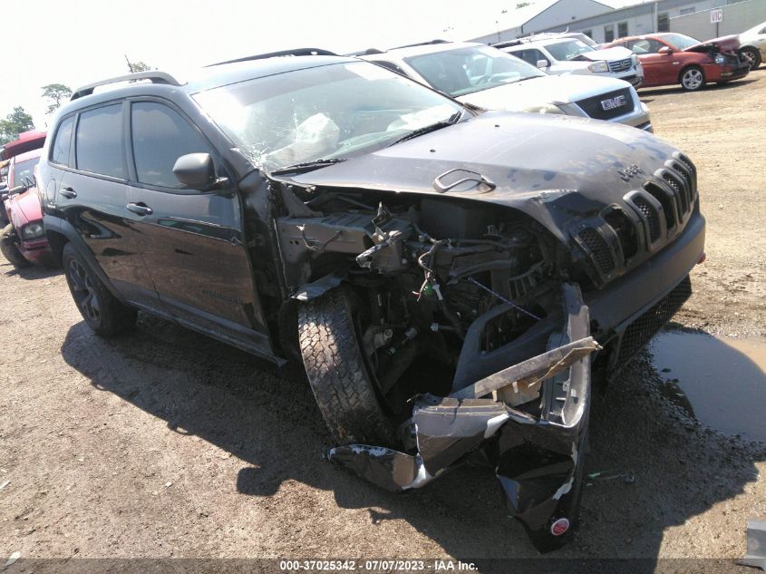 2018 JEEP CHEROKEE TRAILHAWK - 1C4PJMBX5JD549684