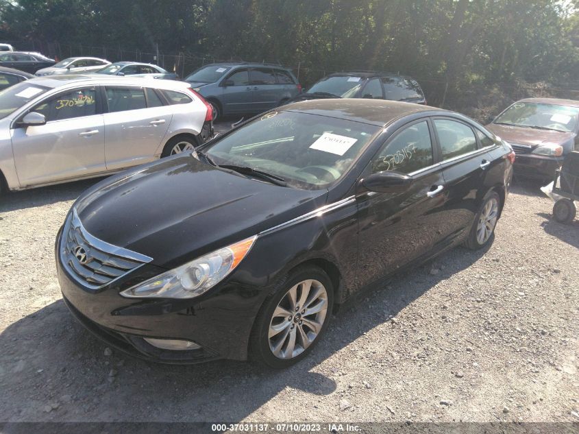 2013 HYUNDAI SONATA SE - 5NPEC4AC3DH599045