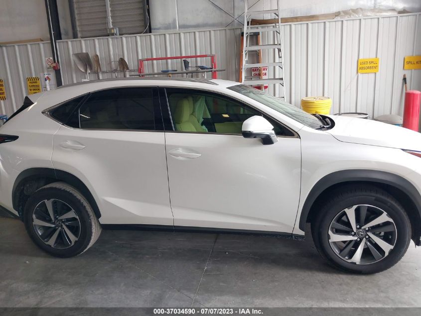 2019 LEXUS NX NX 300 - JTJYARBZ2K2143388