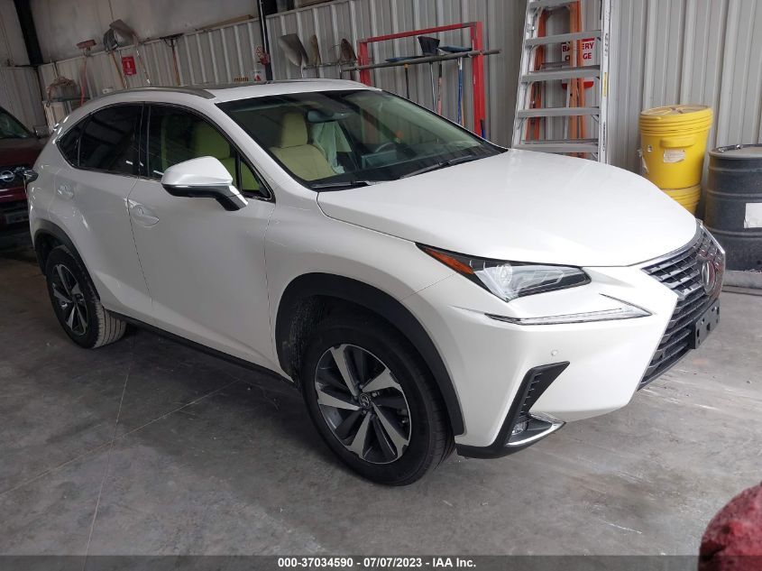 2019 LEXUS NX NX 300 - JTJYARBZ2K2143388