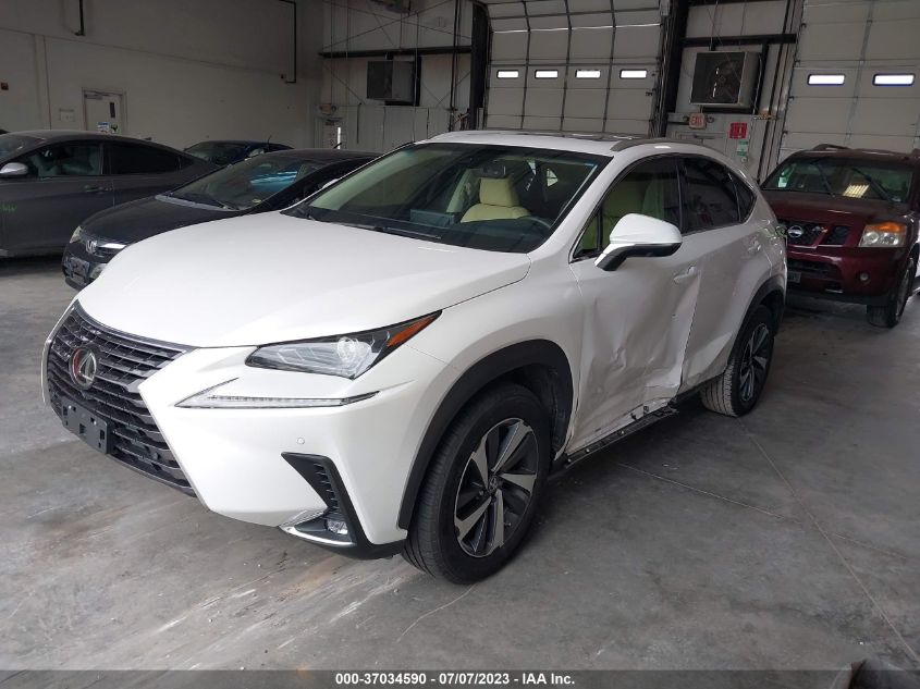 2019 LEXUS NX NX 300 - JTJYARBZ2K2143388