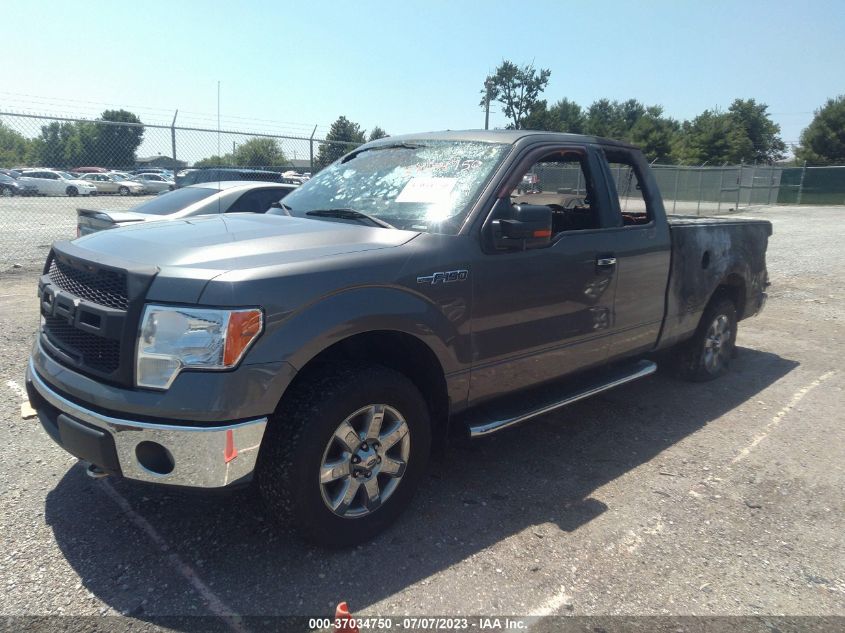 2013 FORD F-150 XL/STX/XLT/FX4/LARIAT - 1FTFX1EF2DKG53853