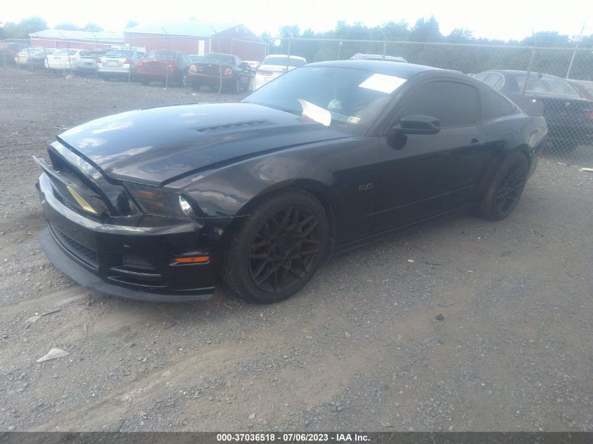 2013 FORD MUSTANG GT - 1ZVBP8CF0D5284805