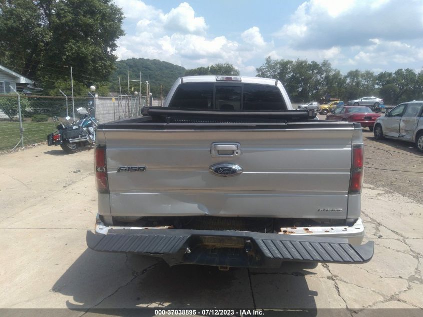 2013 FORD F-150 XL/STX/XLT/FX4/LARIAT - 1FTFX1EF5DKD87647