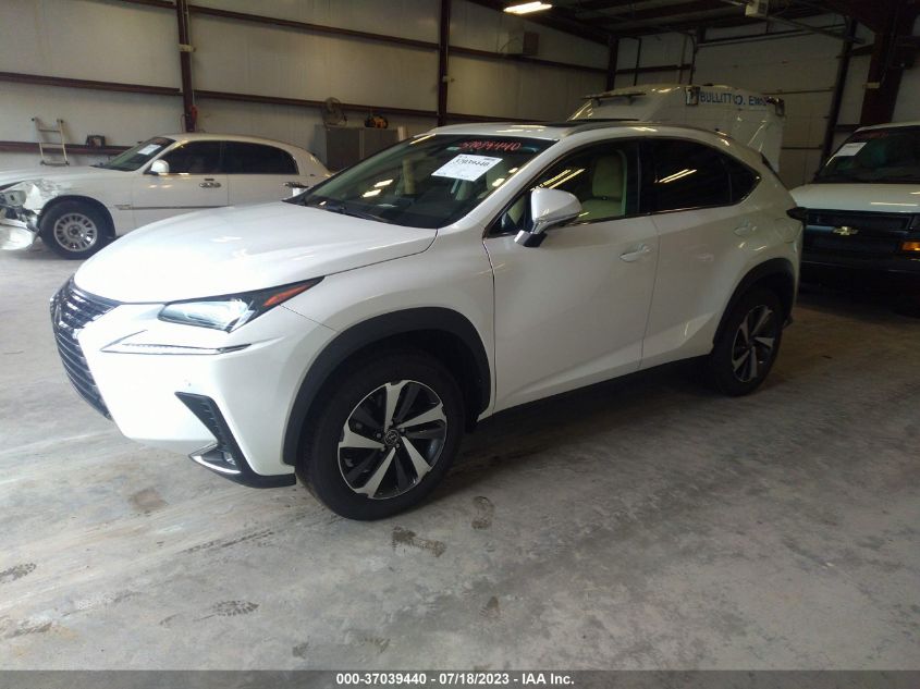 2019 LEXUS NX 300 JTJBARBZ0K2201407