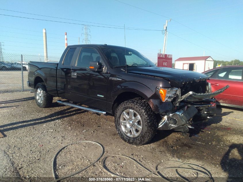 2013 FORD F-150 XL/XLT/FX4/LARIAT - 1FTFX1ET3DFC78764