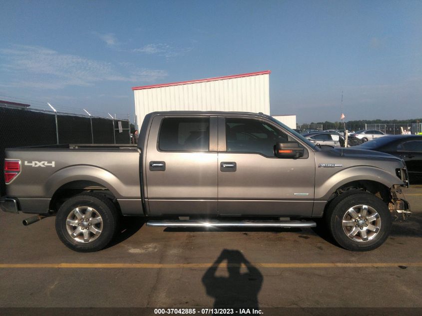 2013 FORD F-150 XL/XLT/FX4/LARIAT - 1FTFW1ET6DKE54281