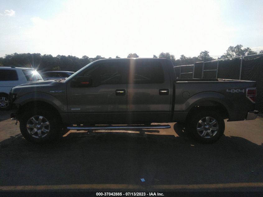 2013 FORD F-150 XL/XLT/FX4/LARIAT - 1FTFW1ET6DKE54281