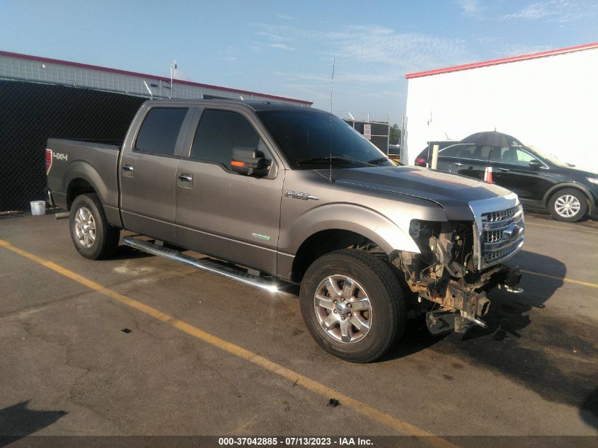 2013 FORD F-150 XL/XLT/FX4/LARIAT - 1FTFW1ET6DKE54281