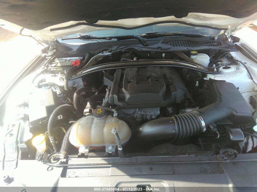 2019 FORD MUSTANG - 1FA6P8TH8K5147491
