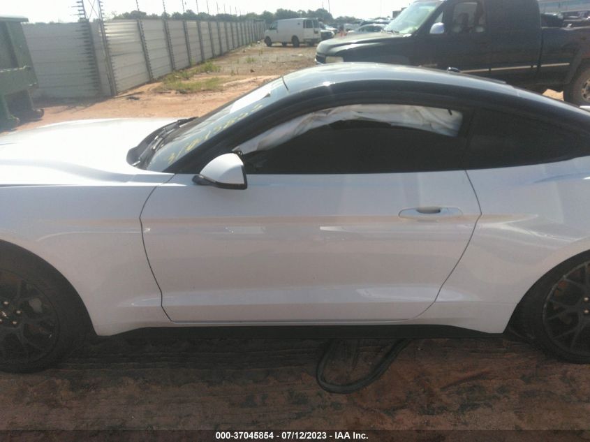 2019 FORD MUSTANG - 1FA6P8TH8K5147491