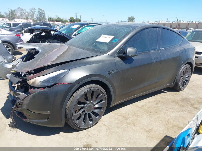 VIN 7SAYGDEF0NF500061 2022 TESLA MODEL Y