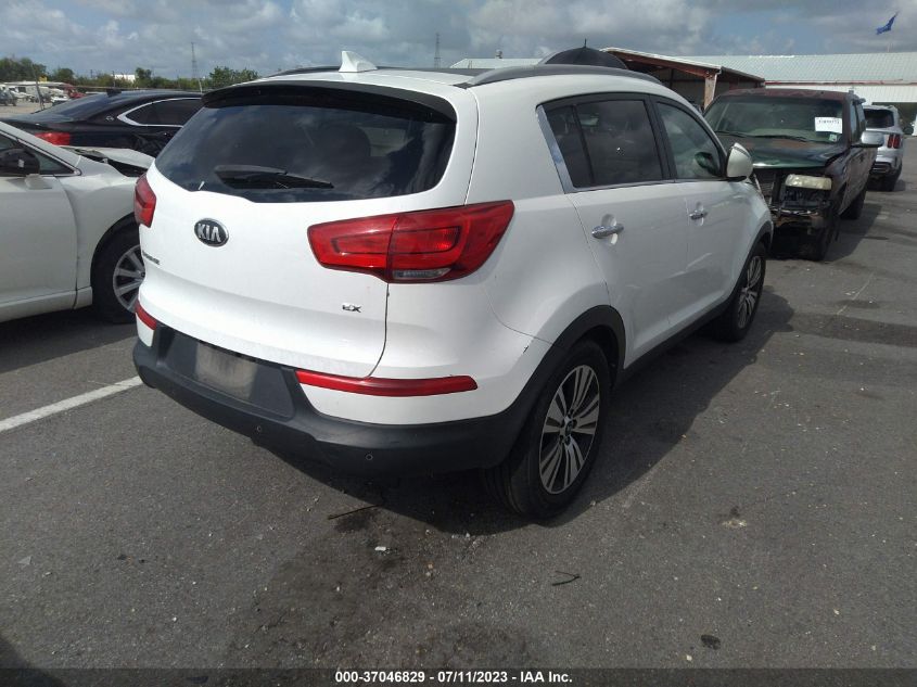 2014 KIA SPORTAGE EX - KNDPC3AC9E7561795
