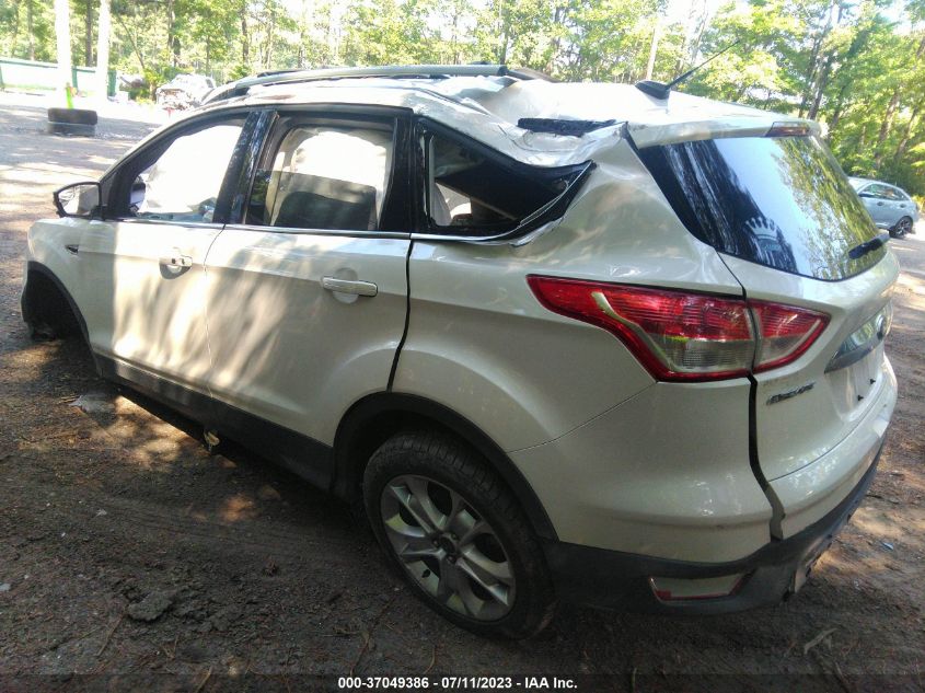 2014 FORD ESCAPE TITANIUM - 1FMCU9JX6EUC14973