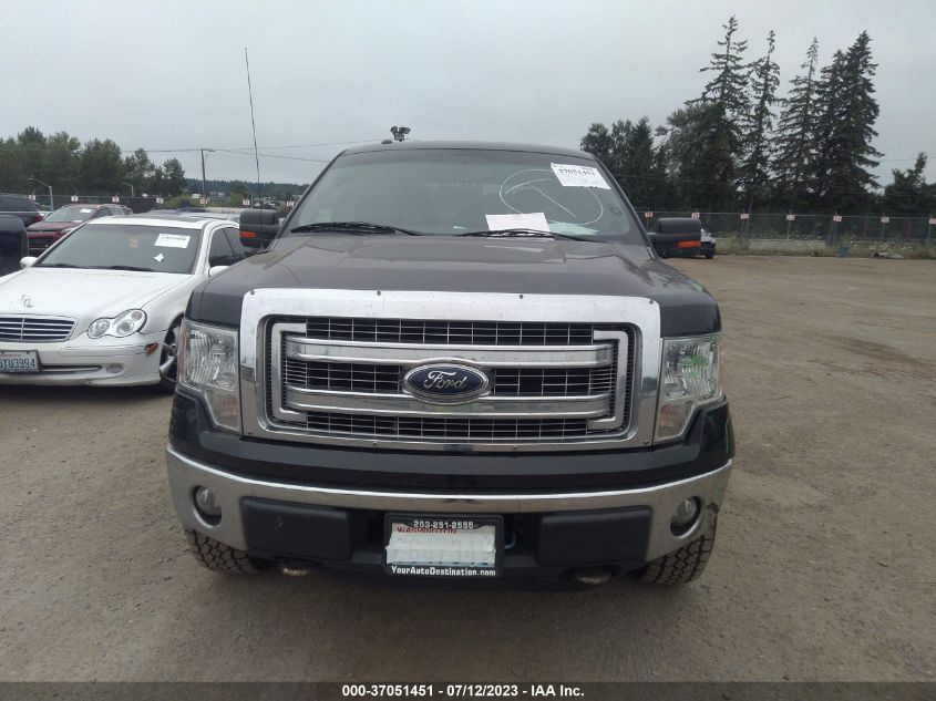 2013 FORD F-150 XL/XLT/FX4/LARIAT - 1FTFW1EFXDKG36544