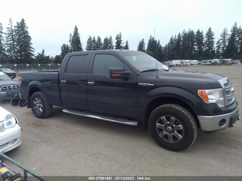 2013 FORD F-150 XL/XLT/FX4/LARIAT - 1FTFW1EFXDKG36544
