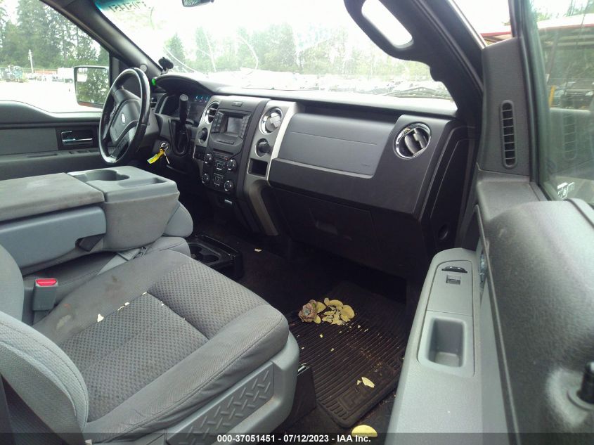2013 FORD F-150 XL/XLT/FX4/LARIAT - 1FTFW1EFXDKG36544