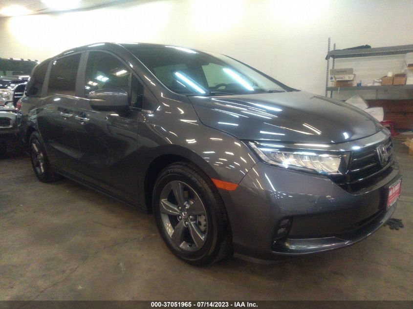 2023 HONDA ODYSSEY EX - 5FNRL6H51PB065999