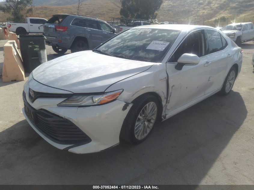 2019 TOYOTA CAMRY HYBRID - 4T1B21HKXKU518302