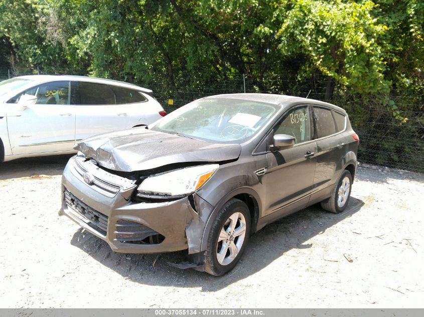 2014 FORD ESCAPE SE - 1FMCU0GX3EUB13635