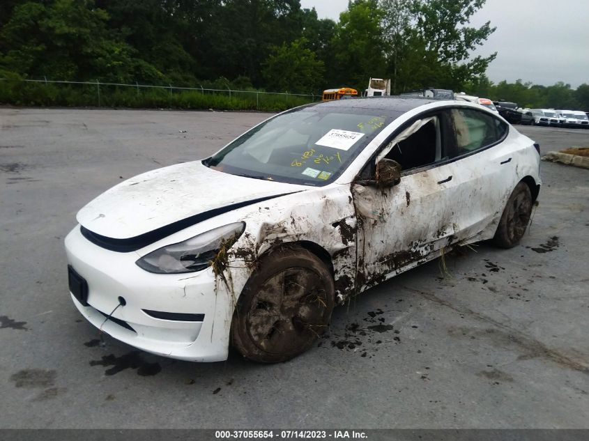 2023 TESLA MODEL 3 - 5YJ3E1EA7PF402406