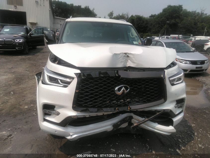 2021 INFINITI QX80 PREMIUM SELECT - JN8AZ2AE1M9267265