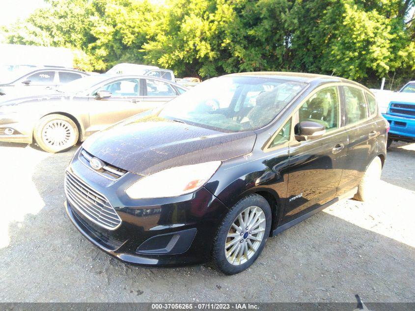 2014 FORD C-MAX HYBRID SE - 1FADP5AU1EL509408