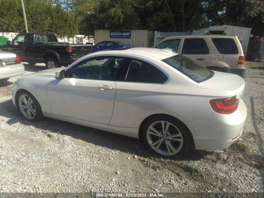2014 BMW 2 SERIES 228I - WBA1F5C52EV255912