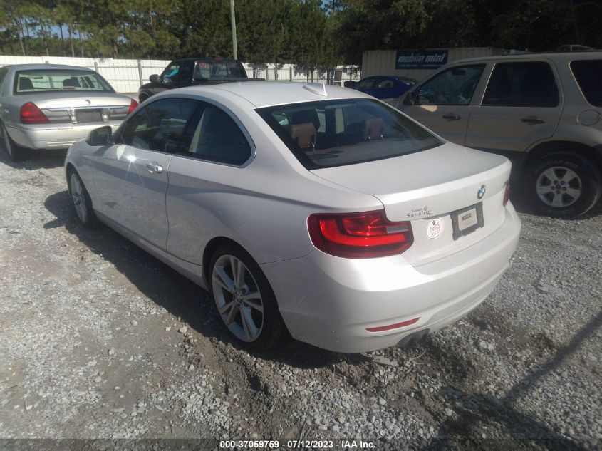 2014 BMW 2 SERIES 228I - WBA1F5C52EV255912