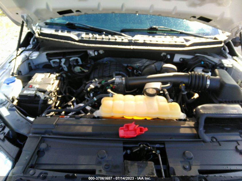 2019 FORD F-150 XL/XLT - 1FTEX1EB2KFB65212