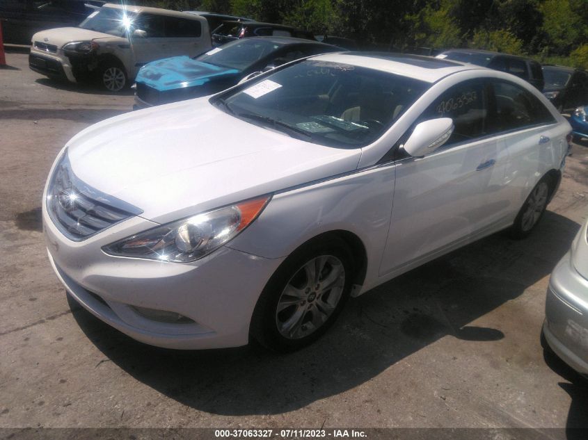 2013 HYUNDAI SONATA LIMITED PZEV - 5NPEC4AC2DH558843