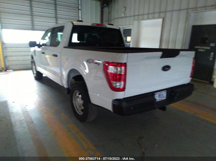 2023 FORD F-150 XL/XLT - 1FTEW1EB2PKD32721