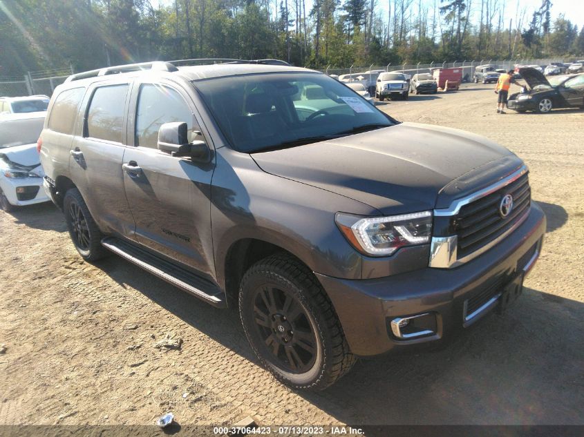 2019 TOYOTA SEQUOIA SR5/TRD SPORT - 5TDBY5G1XKS165938