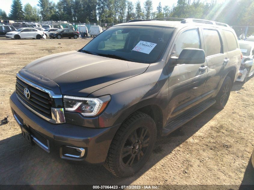 2019 TOYOTA SEQUOIA SR5/TRD SPORT - 5TDBY5G1XKS165938