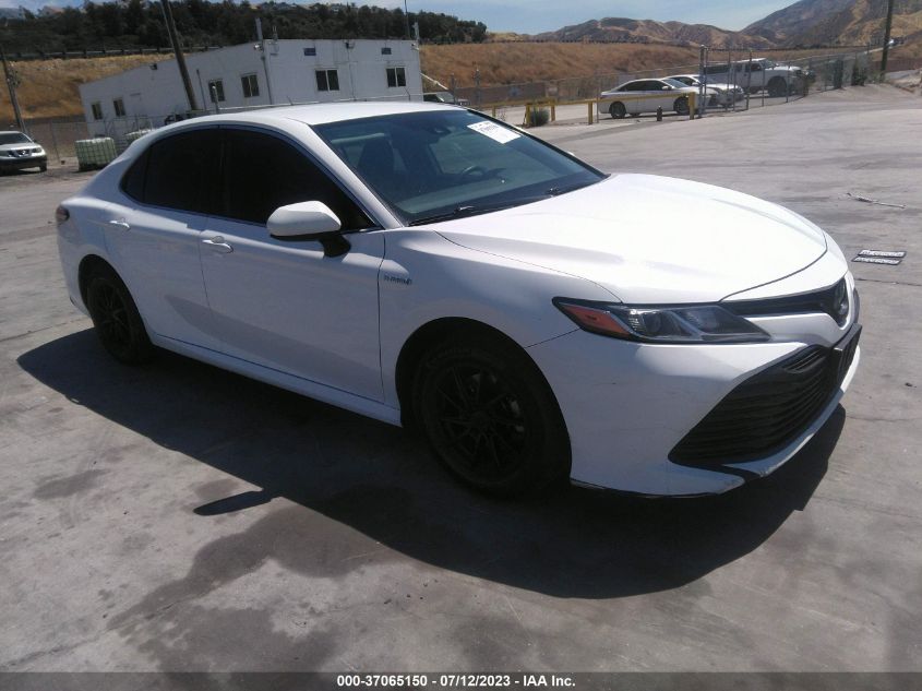 2019 TOYOTA CAMRY HYBRID - 4T1B31HK1KU516113