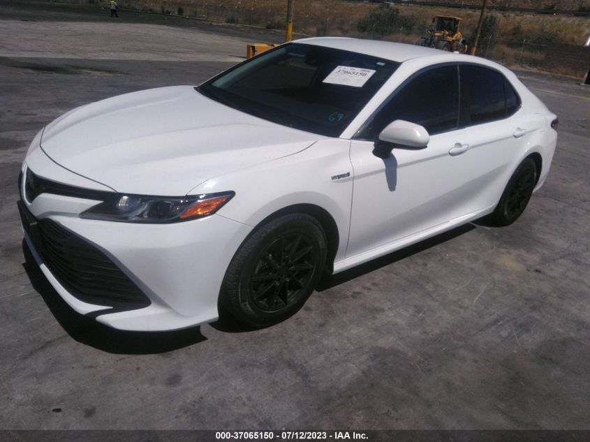 2019 TOYOTA CAMRY HYBRID - 4T1B31HK1KU516113