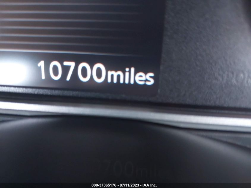 2019 NISSAN KICKS SV - 3N1CP5CUXKL556734
