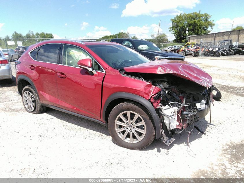 2019 LEXUS NX NX 300 - JTJBARBZ5K2194552
