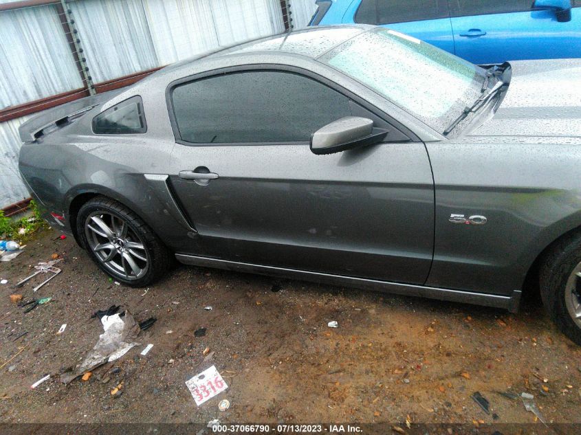 2014 FORD MUSTANG GT - 1ZVBP8CF8E5218584