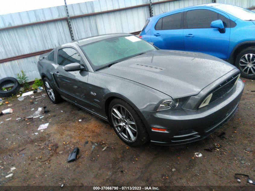 2014 FORD MUSTANG GT - 1ZVBP8CF8E5218584