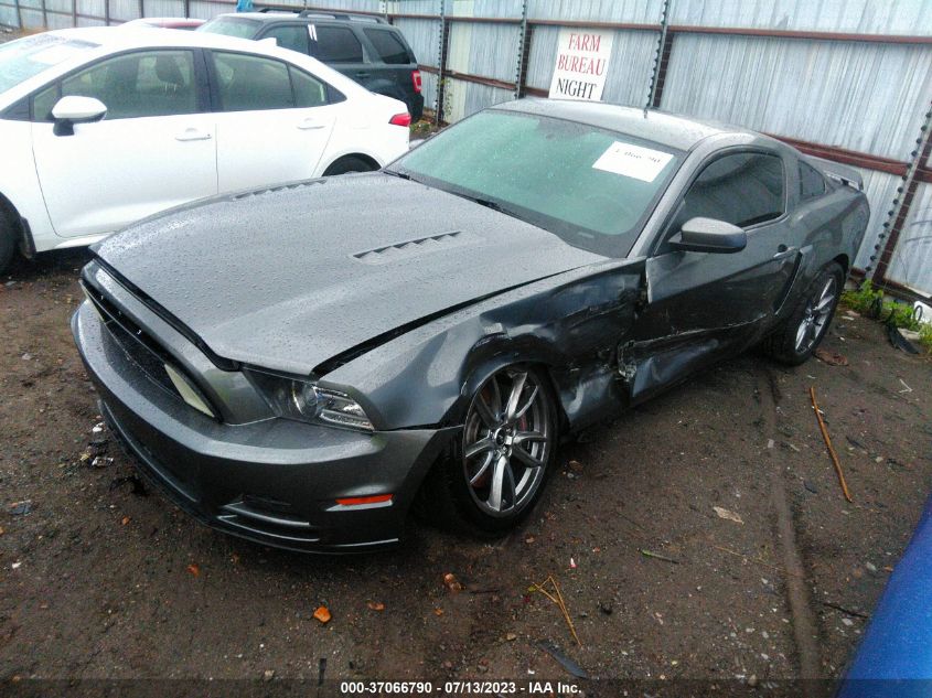 2014 FORD MUSTANG GT - 1ZVBP8CF8E5218584