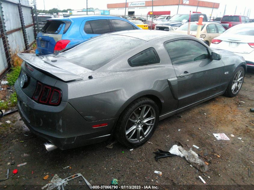 2014 FORD MUSTANG GT - 1ZVBP8CF8E5218584