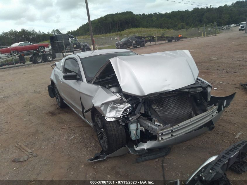 2013 FORD MUSTANG V6 - 1ZVBP8AM1D5258490